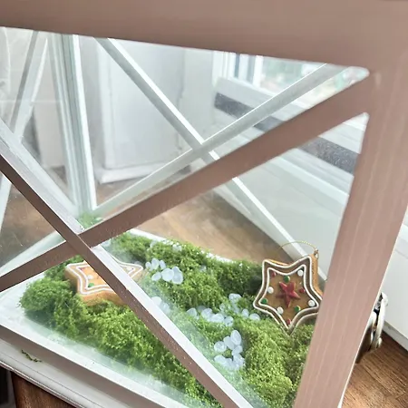 Unser Maerchenhaus Apartament Braunlage